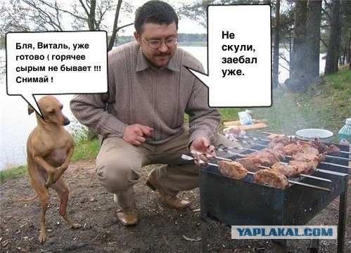 Абсурдный юмор ч.15