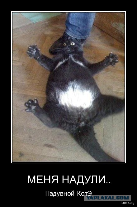 Китайские продавцы против Почты России. Счет 1:0