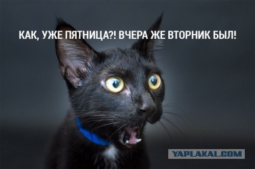 Для Поднятия Настроения - 9