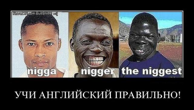 Шуточки от весёлого повара