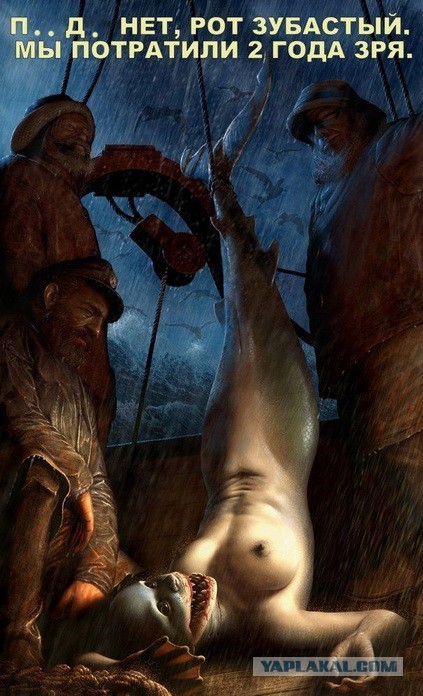 На американский берег выбросило русалку