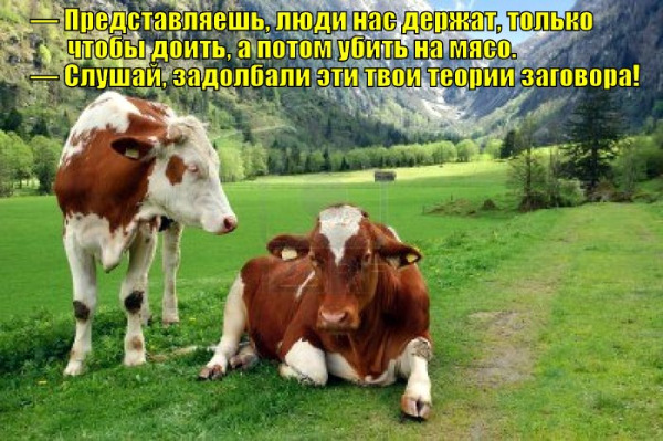 А есть ли она? Жизнь после смерти?