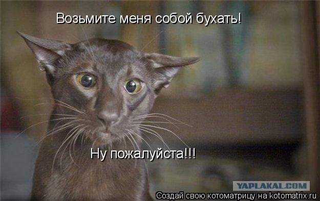 Такса глазами механика