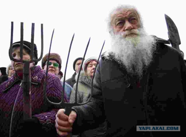 Пропажа или опять "золотая судья"