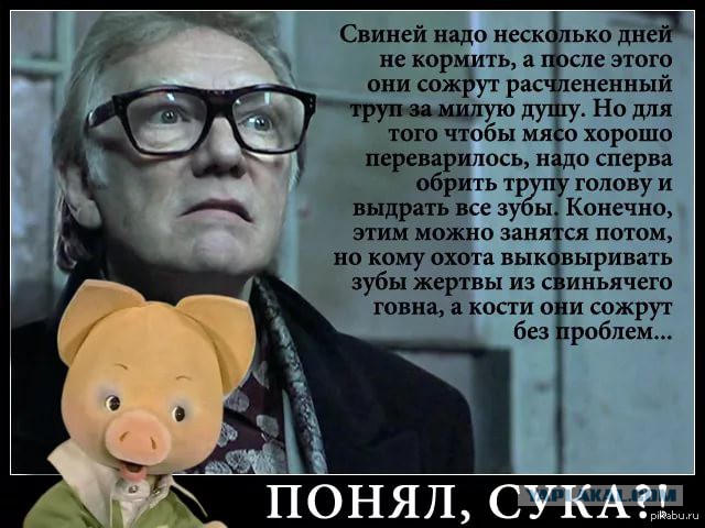 Эксперты обнаружили ДНК человека в колбасе «Мортаделя»