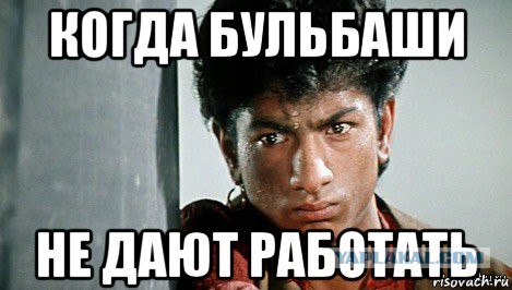 Правозащитники мозгами пользуются?