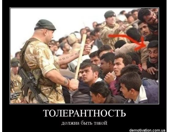 Подборка картинок чисто на поржать 18+