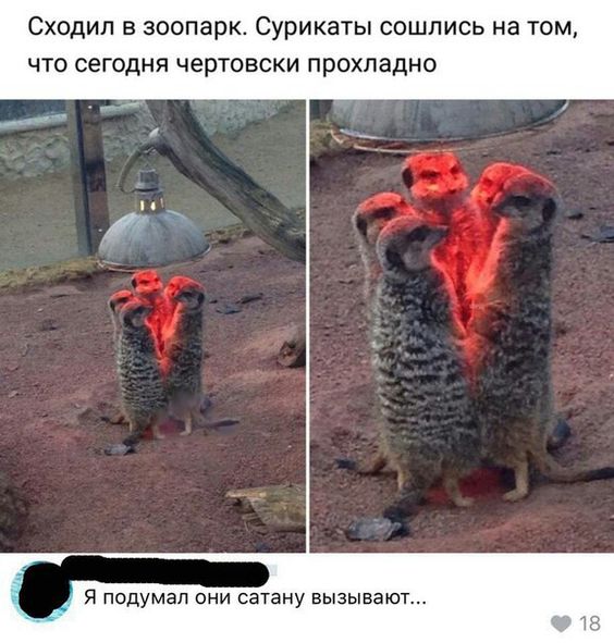 Смешные комментарии из социальных сетей 11.05.2018