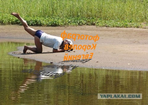 Он художник! Он так видит!