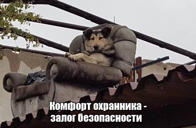 Прикольные картинки абавсём