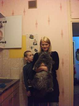 Котовторник стартует