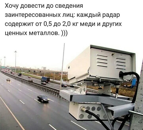 Лента прикольных картинок