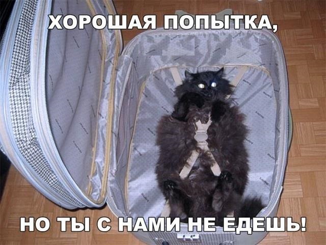 Фото, соц-сети и картинки с надписями