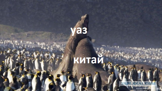 Пугающая природа