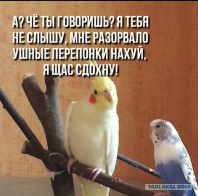 Когда-то повеселило