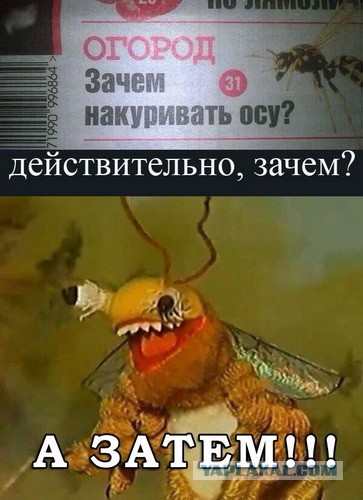 Случай на море.