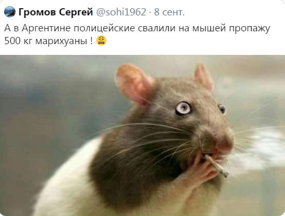 Бредзона 14.09.2020