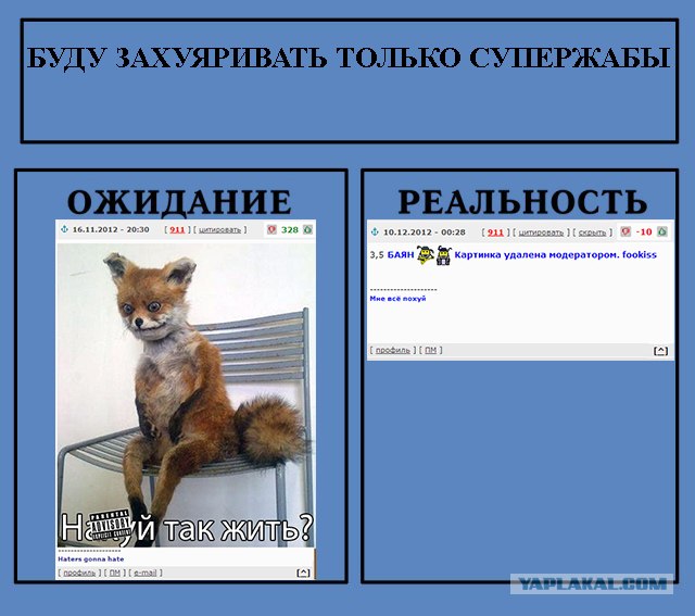 Фотожаба: Ожидание / Реальность