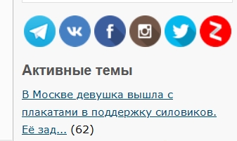 Москва. 31.01.2021. Полицейское безумие