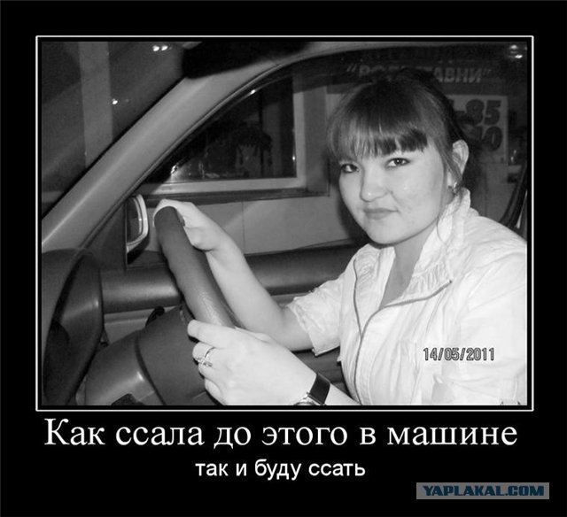 Пьяная девушка-водитель избила госавтоинспекторов