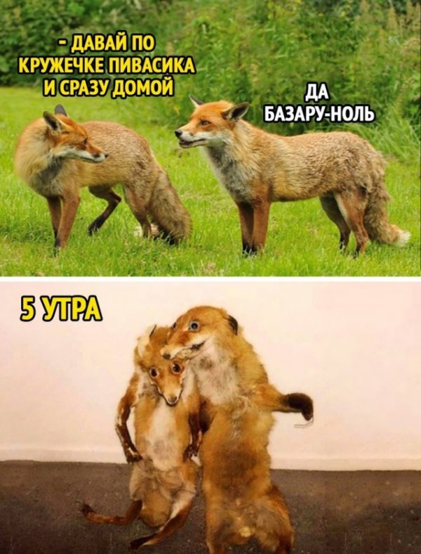 Прикольные и просто красивые картинки 10.03.2011