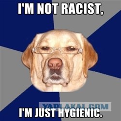 Как я провёл выходные.