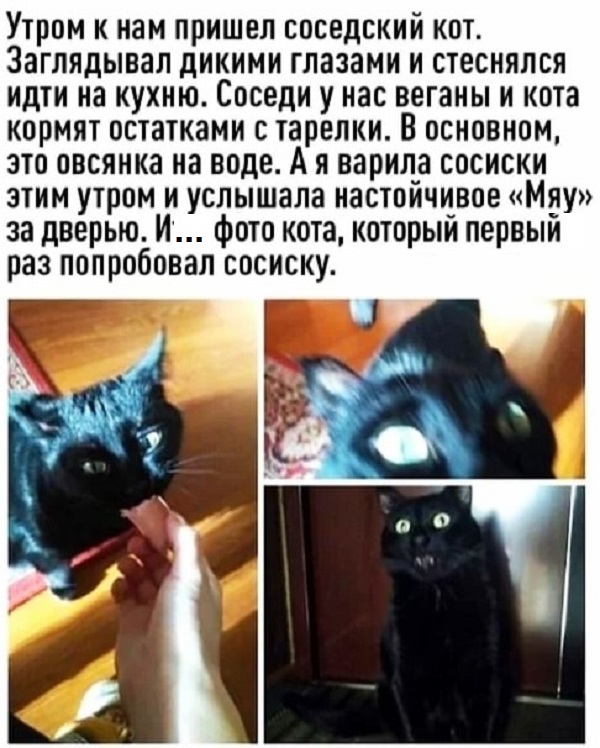 Картинки с надписями и всякие жизненные фразы 27.03.21