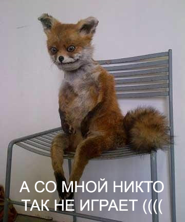 Лиса Аня улыбается