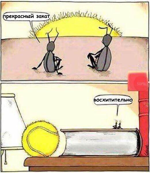 Чем порадует тырнет в субботу?
