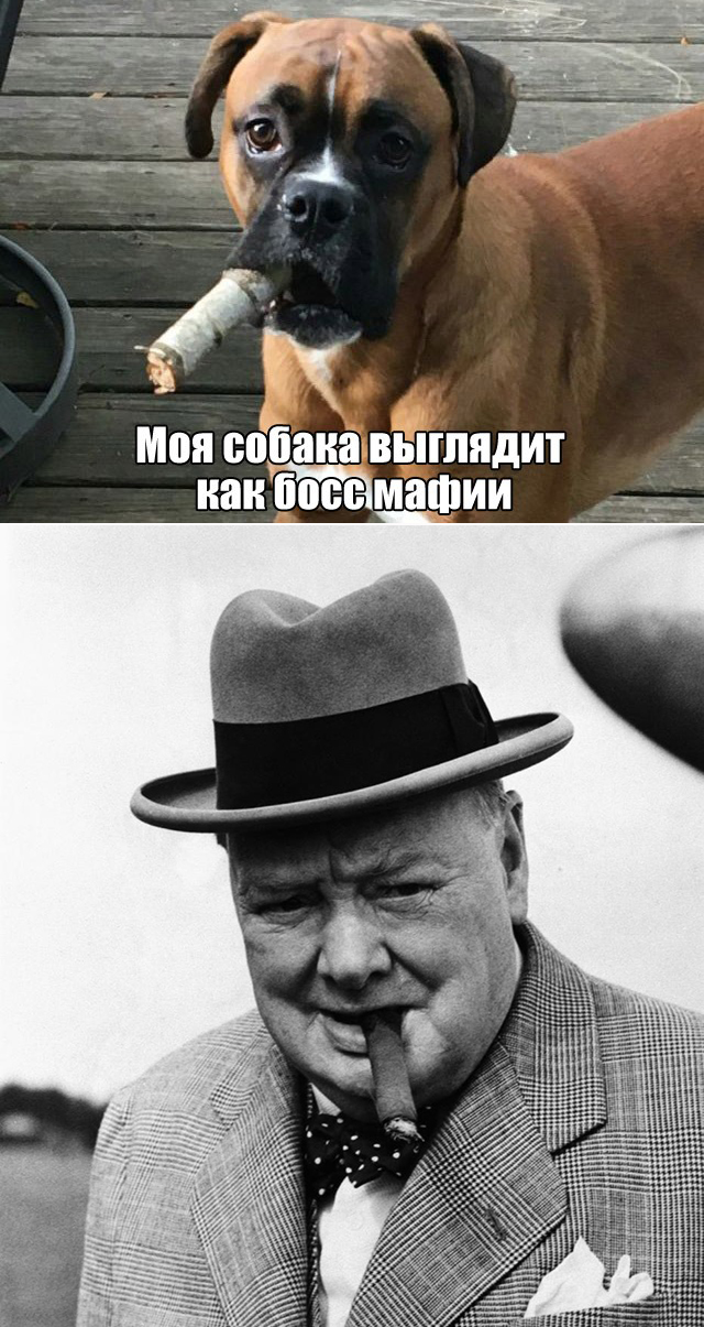 Так себе картинки 19.09.21