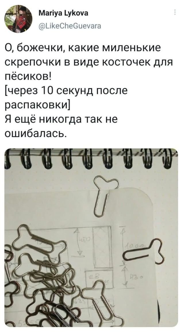 Картинки и мемы для настроения 23.09.2021