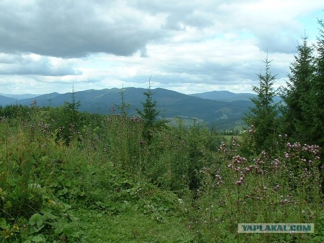 Карпаты, Закарпатье.