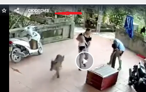 Нежданчик из старого сундука