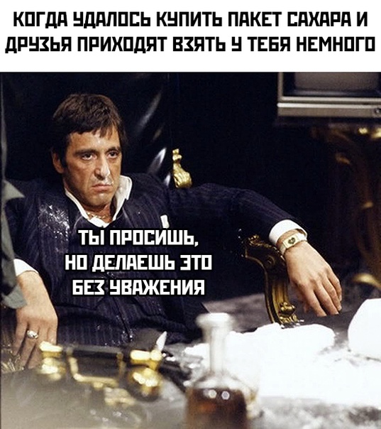 Весёлый полтишок 20.03.22