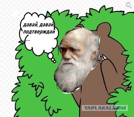 А вы бы попрыгали так?