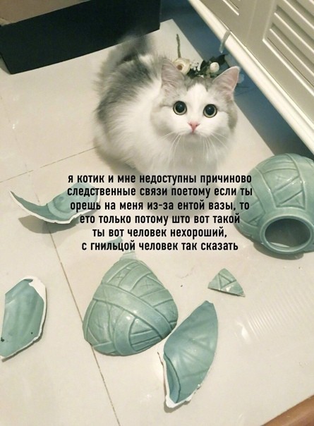 Воспитание шерстяного