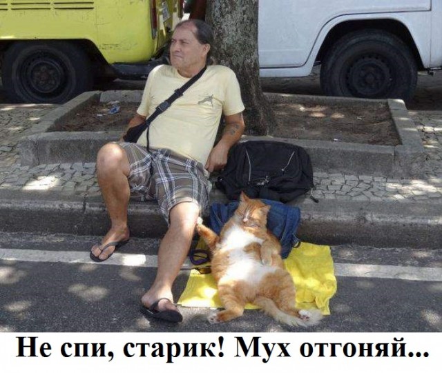 Немного картинок для настроения - 139