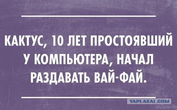Истории про людей, которые совсем не разбираются в компьютерах