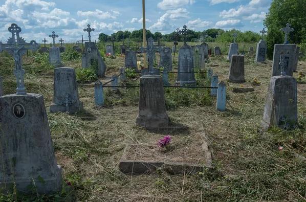 Лукашенко наконец появился на публике