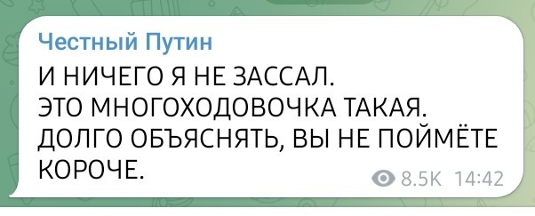 Президент России Владимир Путин примет участие в саммите БРИКС в ЮАР по видеосвязи.