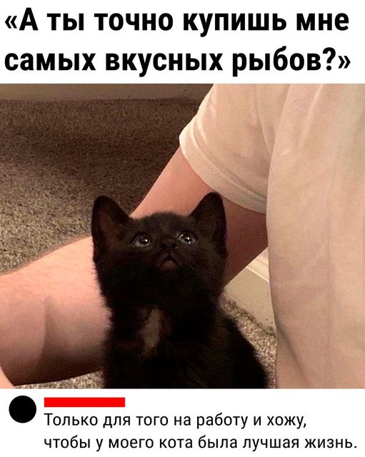 Всего понемногу. От 25.02.24
