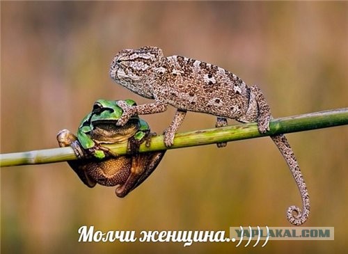 8 Марта близко-близко...