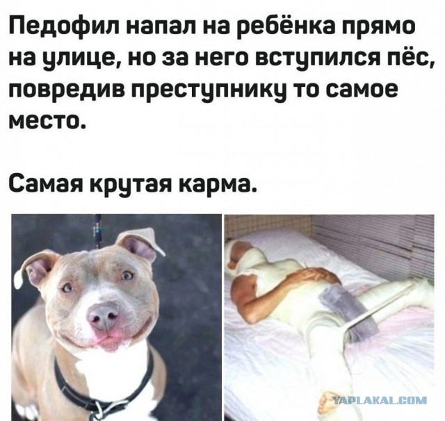 Так себе картинки 01.04.24