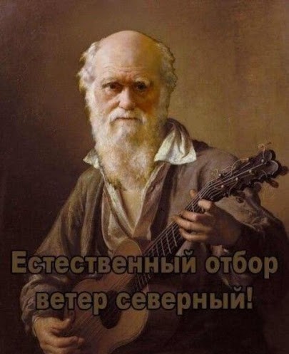 Засмотрелся в телефон - получай