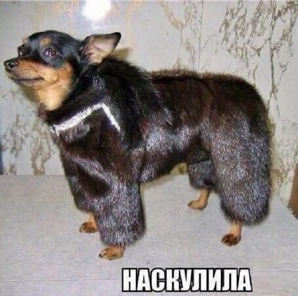 Картинки разные с надписями и без