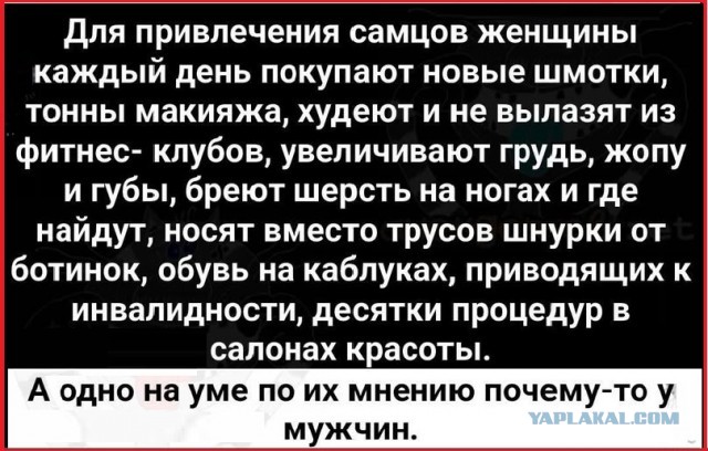 Причины женской мозгоебли