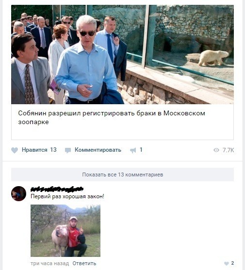 Соточка. Внеплановая. Дичь.