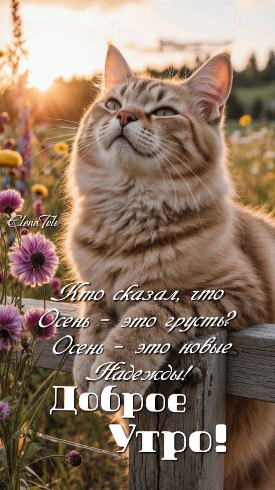 Прикольные и просто красивые картинки 19.09.2025