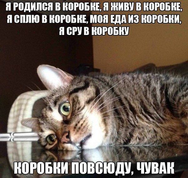 Сундук деграданта! Выпуск номер 9