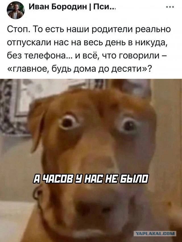 "У меня с мозгами не всё в порядке" - ненормальные картинки
